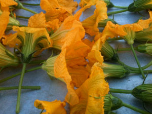 Squash blossoms
